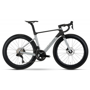 Jalgratas Raymon Arva Pro 2026 grey-carbon
