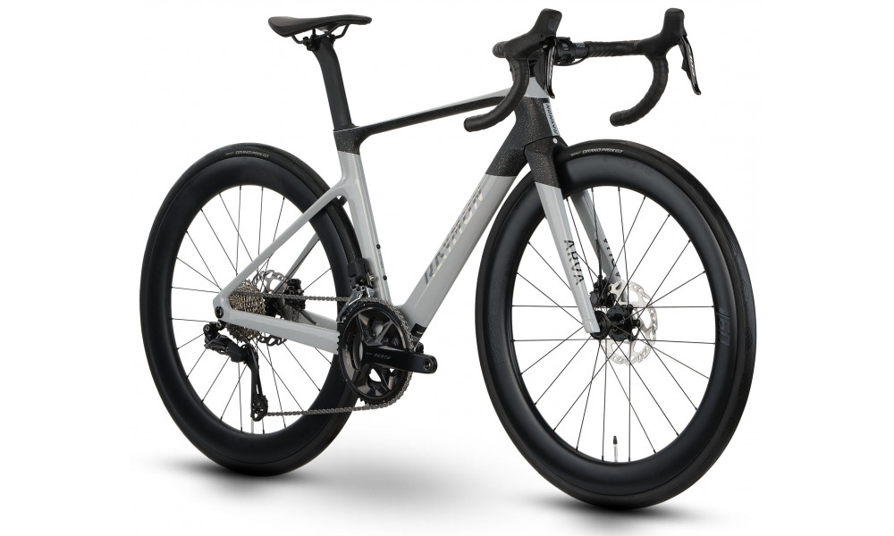 Jalgratas Raymon Arva Pro 2026 grey-carbon - 2