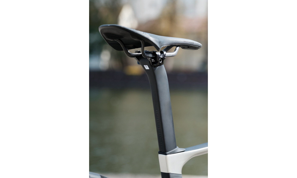 Jalgratas Raymon Arva Ultimate 2026 carbon-champagne - 2