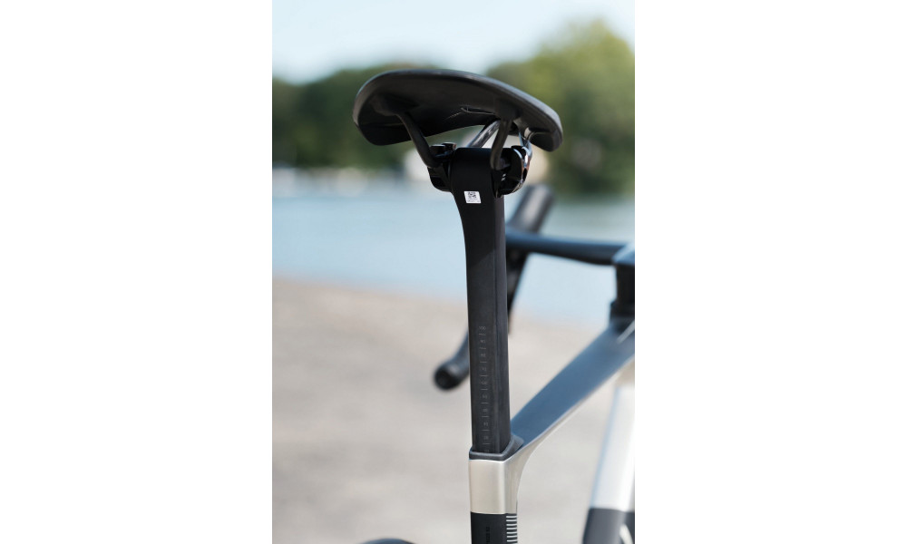 Jalgratas Raymon Arva Ultimate 2026 carbon-champagne - 3