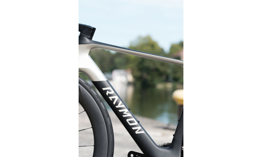 Jalgratas Raymon Arva Ultimate 2026 carbon-champagne - 10