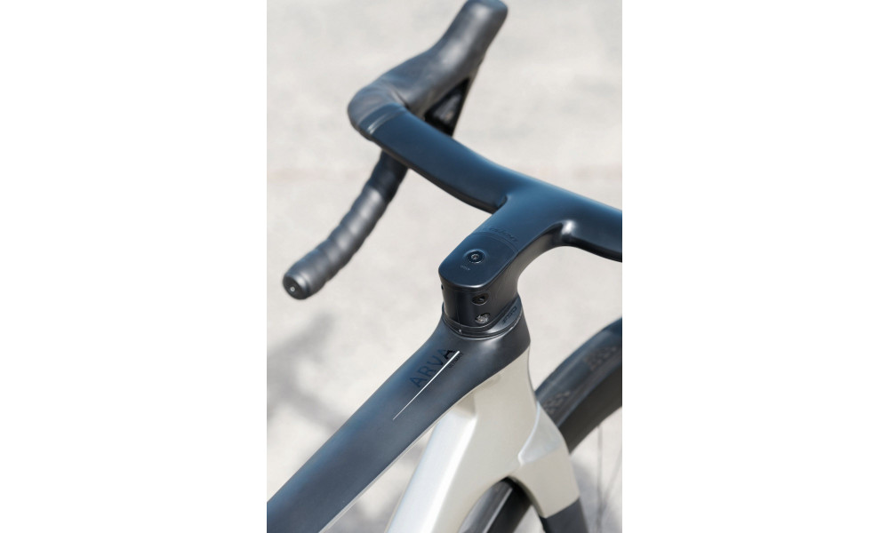 Jalgratas Raymon Arva Ultimate 2026 carbon-champagne - 15