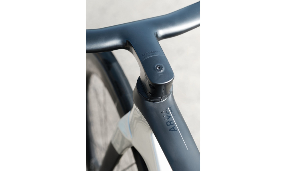 Jalgratas Raymon Arva Ultimate 2026 carbon-champagne - 16