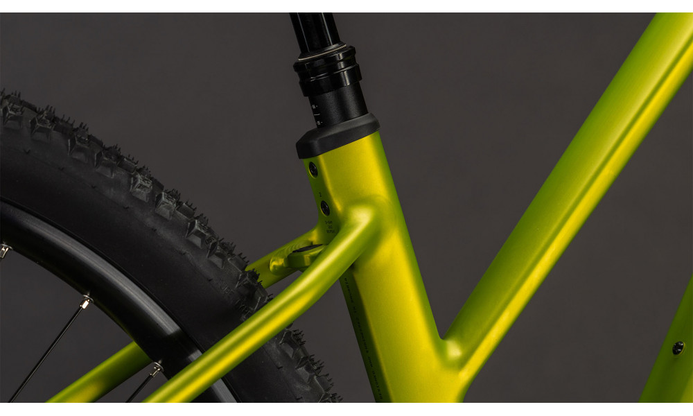 Elektrijalgratas Cube Reaction Hybrid Race 800 Trapeze 29 lizard'n'black 2026 - 3