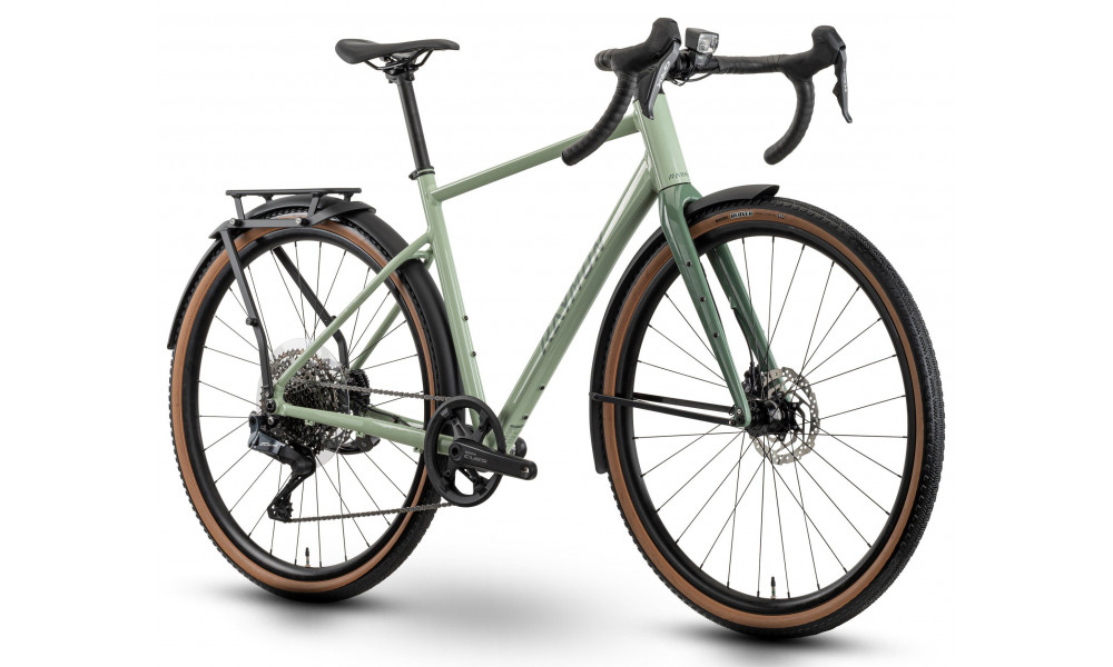 Jalgratas Raymon Territ Auto Street 2026 salvia green-sage green - 2