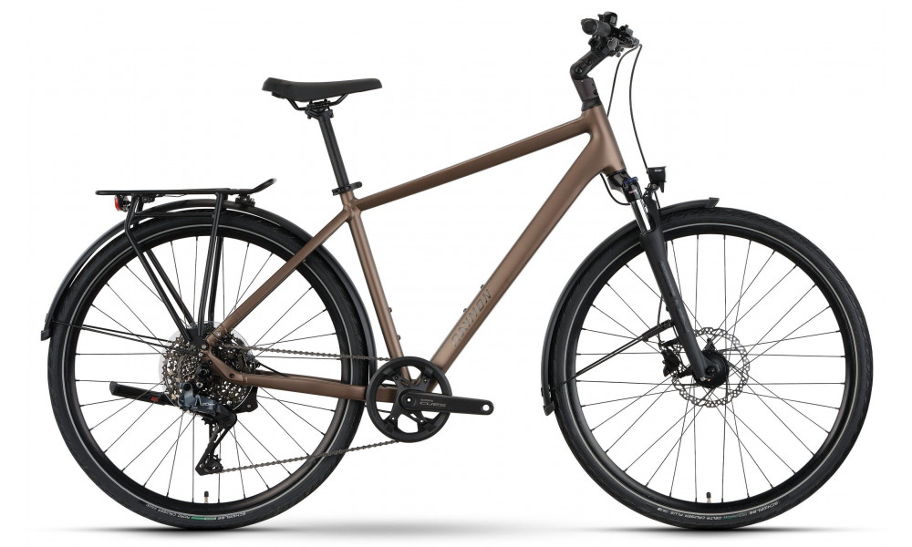 Jalgratas Raymon Zayn Auto 2026 mushroom - 1