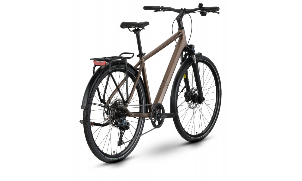 Jalgratas Raymon Zayn Auto 2026 mushroom - 2