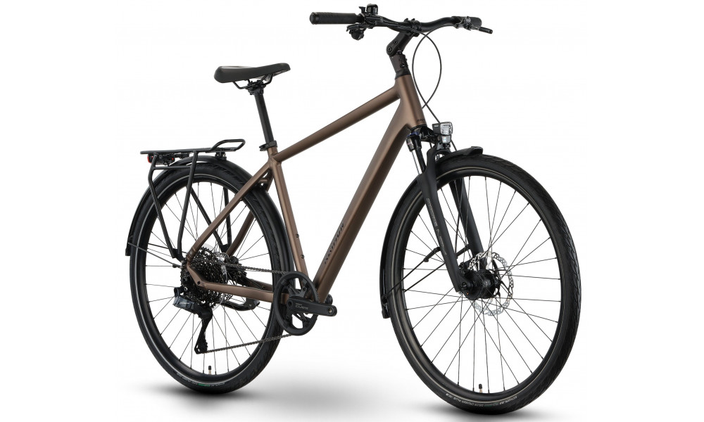 Jalgratas Raymon Zayn Auto 2026 mushroom - 3