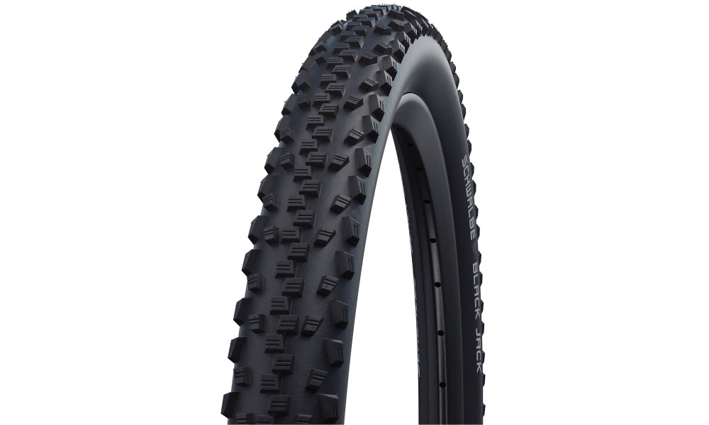 Väliskumm 20" Schwalbe Black Jack HS 407 Active Wired 47-406 Black - 1