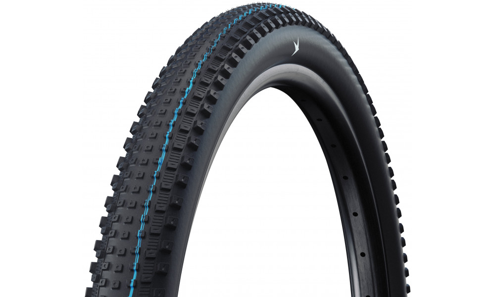 Väliskumm 29" Schwalbe Rick HS635 Evo Fold TLR 62-622 / 29x2.40 XC Pro 