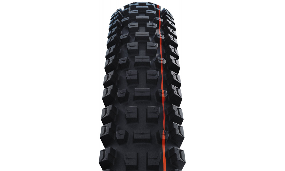 Väliskumm 29" Schwalbe Albert HS641 Evo Fold TLR 63-622 / 29x2.50 Trail Pro - 2