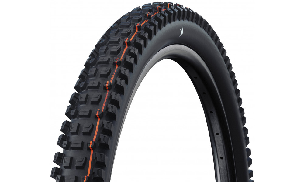 Väliskumm 29" Schwalbe Albert HS641 Evo Fold TLR 65-622 / 29x2.60 Gravity Pro - 1