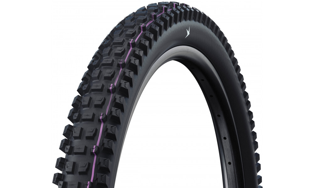 Väliskumm 29" Schwalbe Albert HS641 Evo Fold TLR 65-622 / 29x2.60 Gravity Pro - 1