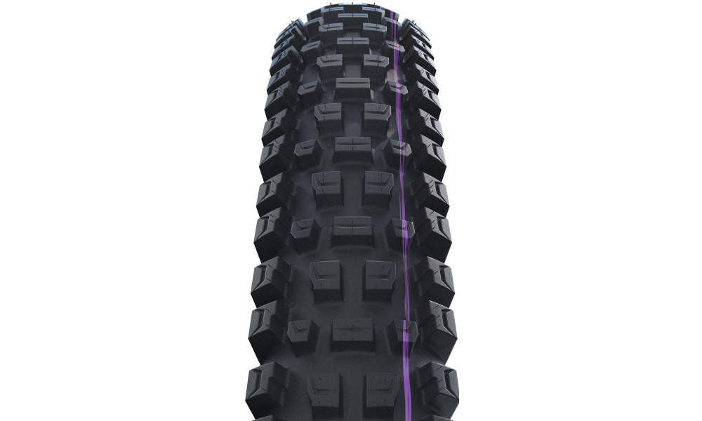 Väliskumm 29" Schwalbe Albert HS641 Evo Fold TLR 65-622 / 29x2.60 Gravity Pro - 2