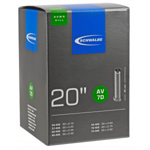 Sisekumm 20" Schwalbe AV7D (54/75-406)