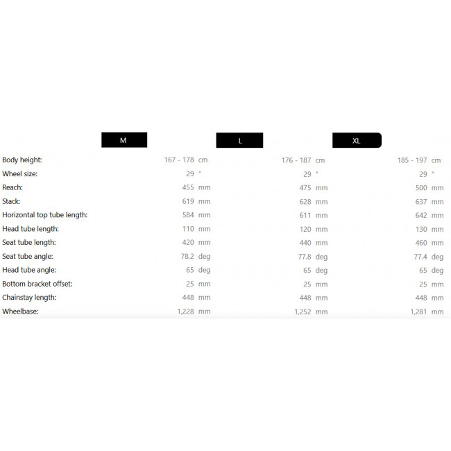 Elektrijalgratas Raymon Tarok 29/27.5" 2025 grey sparkle-carbon-citron