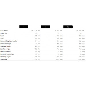 Elektrijalgratas Raymon Tarok 29/27.5" 2025 grey sparkle-carbon-citron