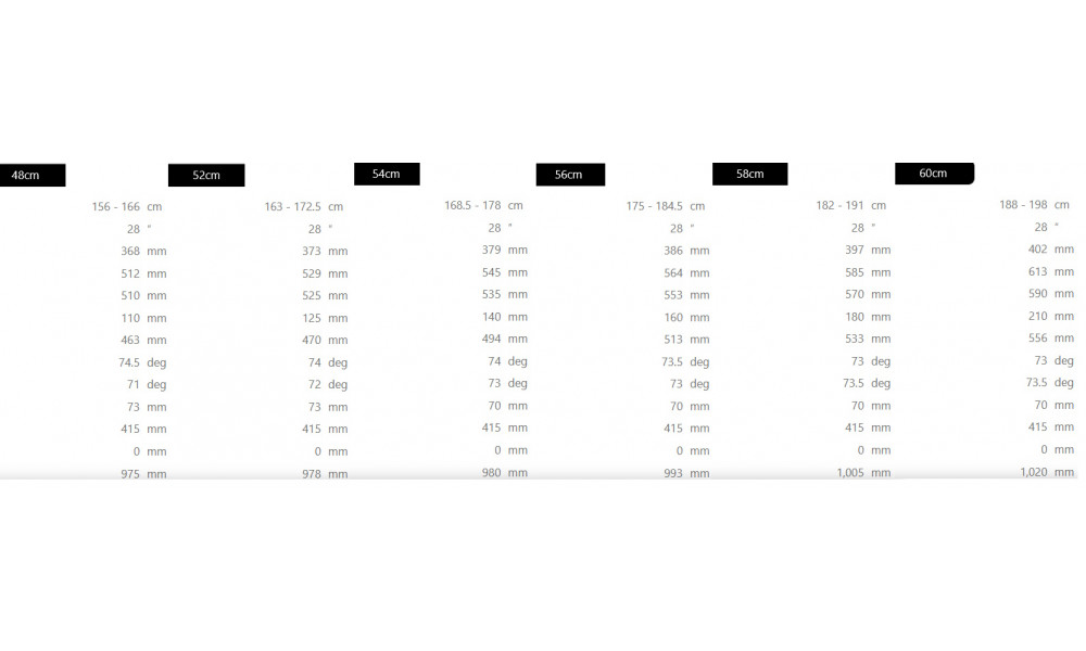Jalgratas Raymon Kirana Ultimate 2025 carbon stealth - 4
