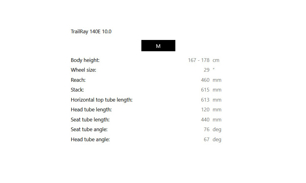Elektrijalgratas Raymon TrailRay 140E 10.0 29" grey black-white - 2