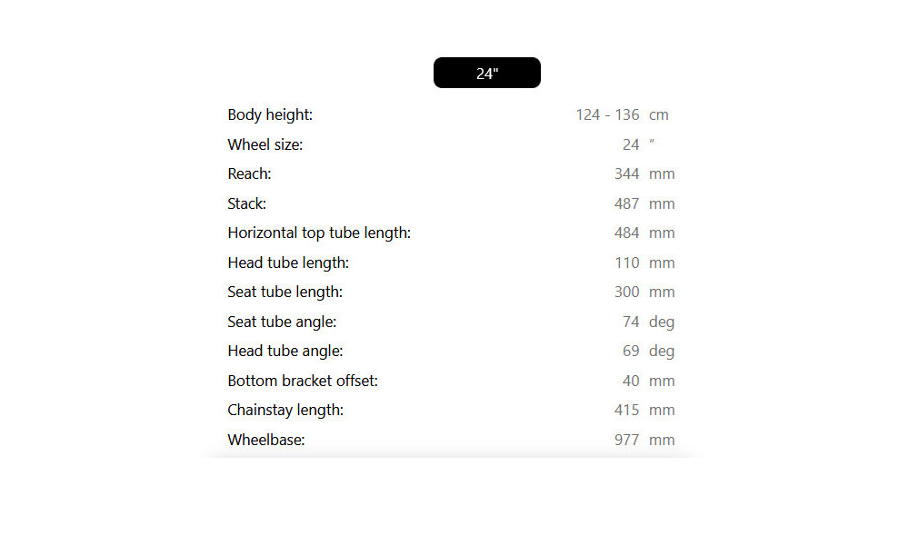 Jalgratas Raymon Nayta 24 Comp 2026 iridiumblack - 4