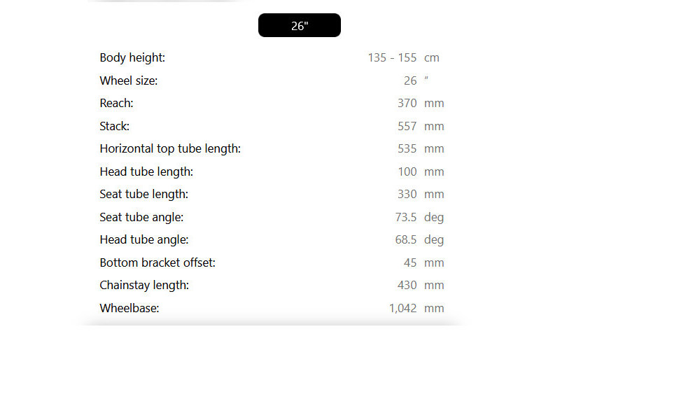 Jalgratas Raymon Nayta 26 Pro Street 2026 pipe grey-mustard - 4