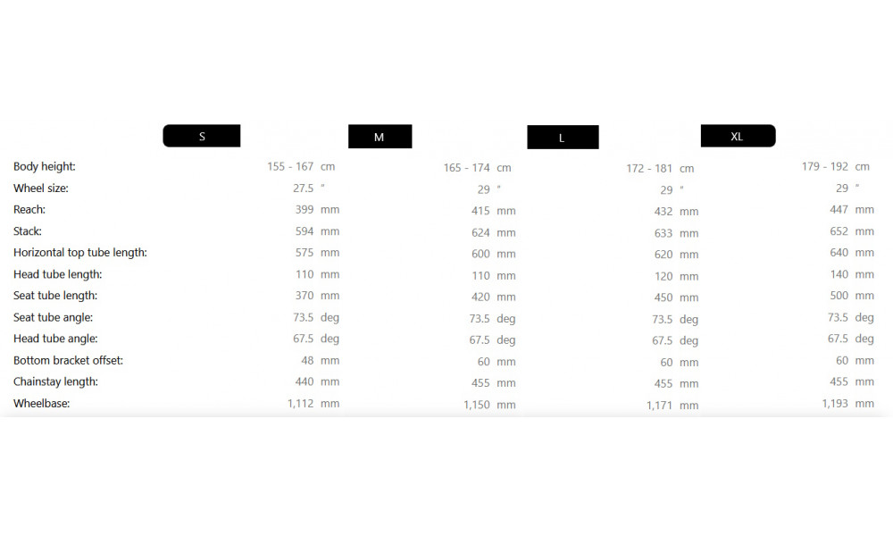 Jalgratas Raymon Soreno Pure 2026 carbon stealth - 4