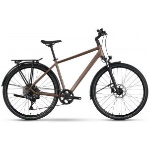 Jalgratas Raymon Zayn Auto 2026 mushroom