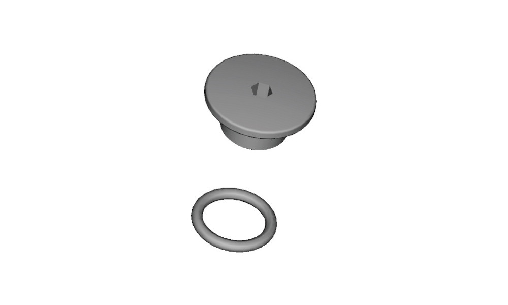 Pidurikangide remondikomplekt Shimano Bleed Screw and O-Ring for DURA-ACE ST-R9120 