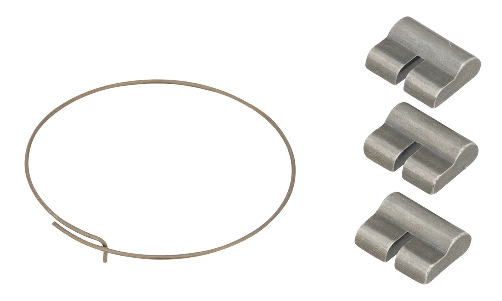 Tagumine rummu hoolduskomplekt NEWMEN Fade MTB pawl set with spring 