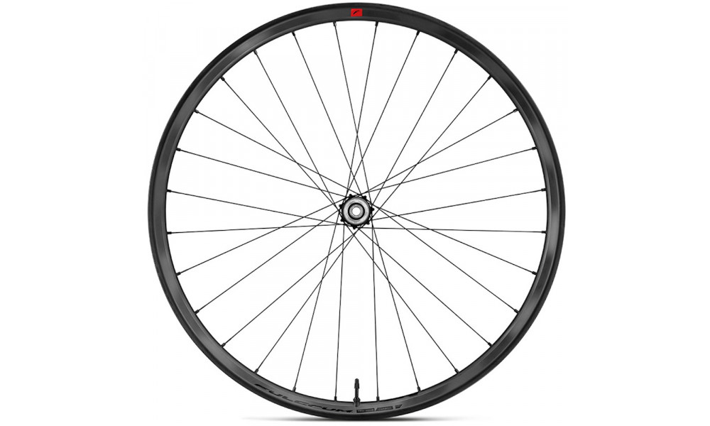 Jalgratta tagumine ratas Fulcrum Red Zone Carbon 29 2WF AFS Boost HH12/148 - 1