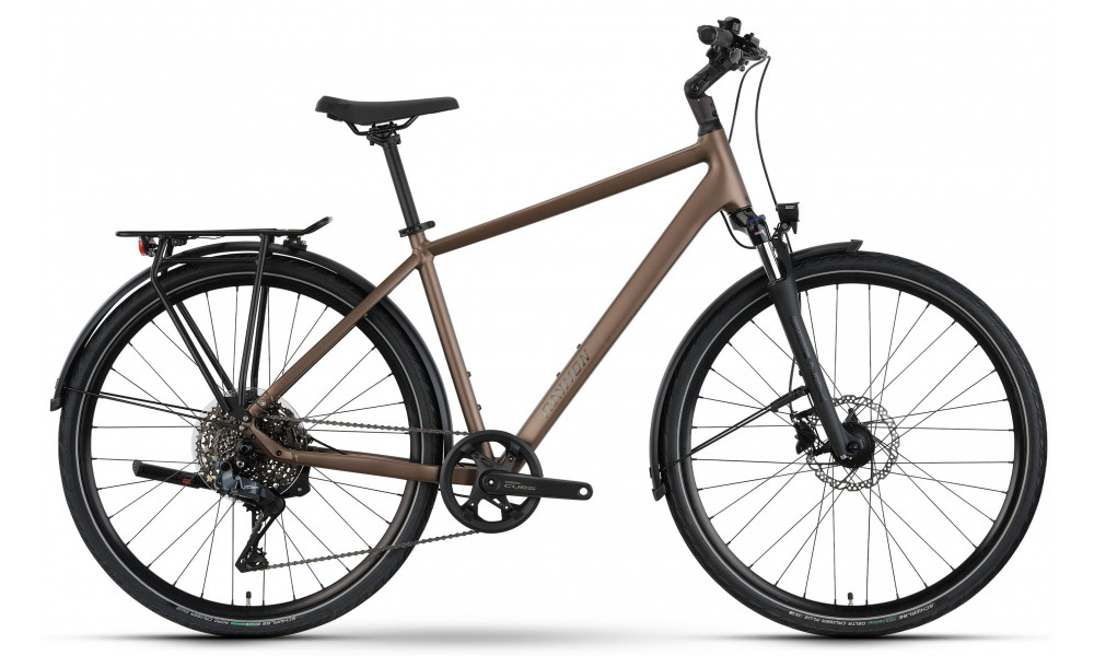 Jalgratas Raymon Zayn Auto 2026 mushroom - 3