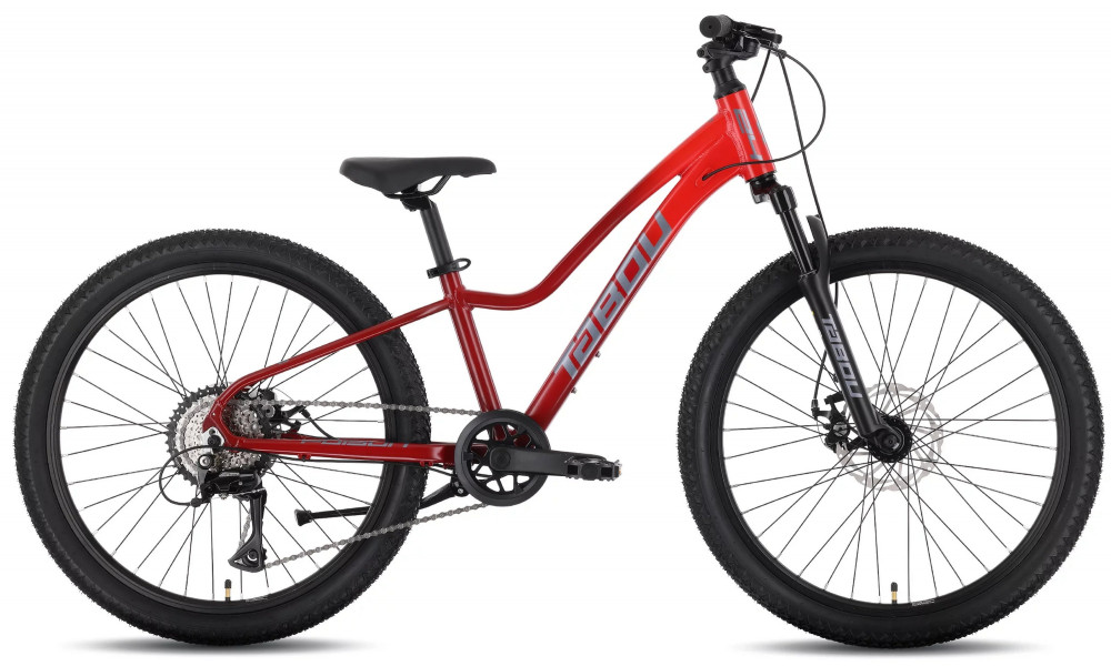 Jalgratas Tabou Poison 24 Pro burgundy-red 