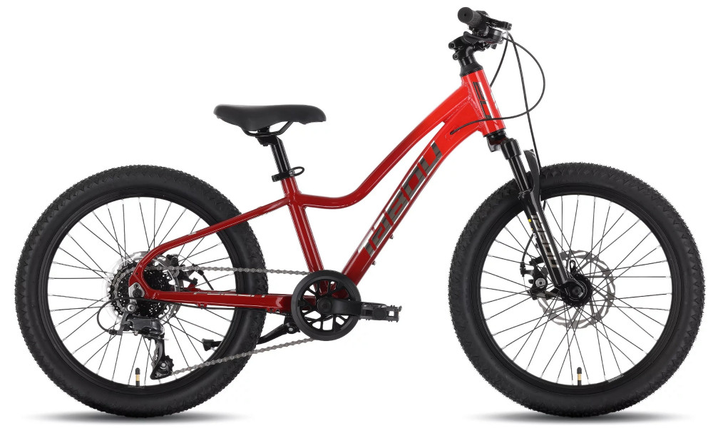 Jalgratas Tabou Poison 20 Pro burgundy-red 