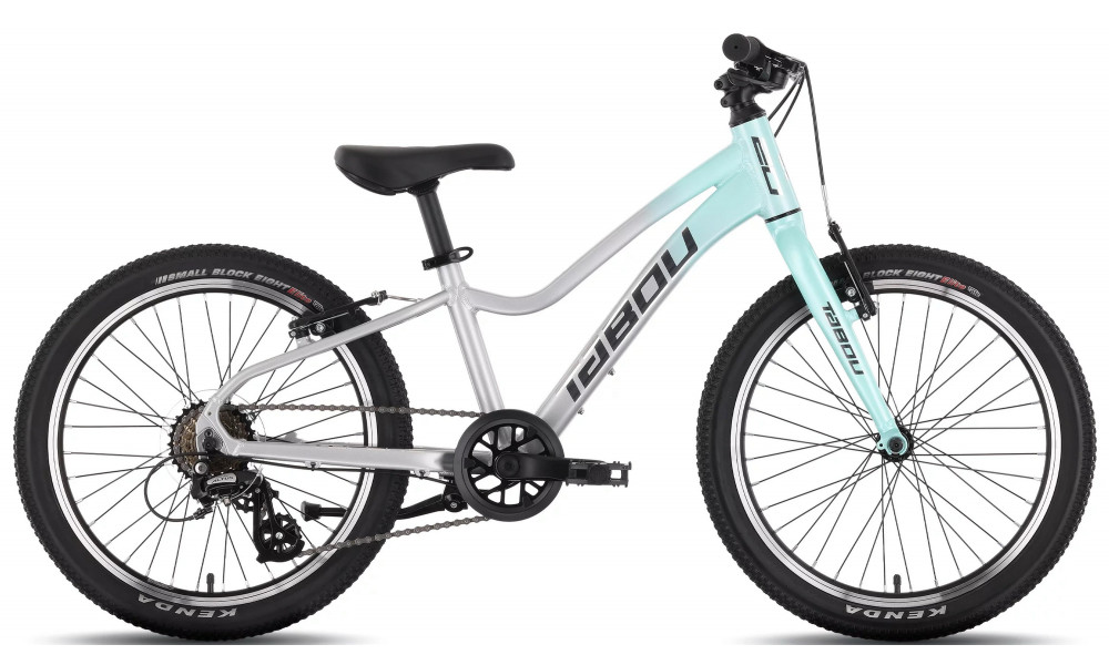 Jalgratas Tabou Topshe 20 Lite mint-grey 