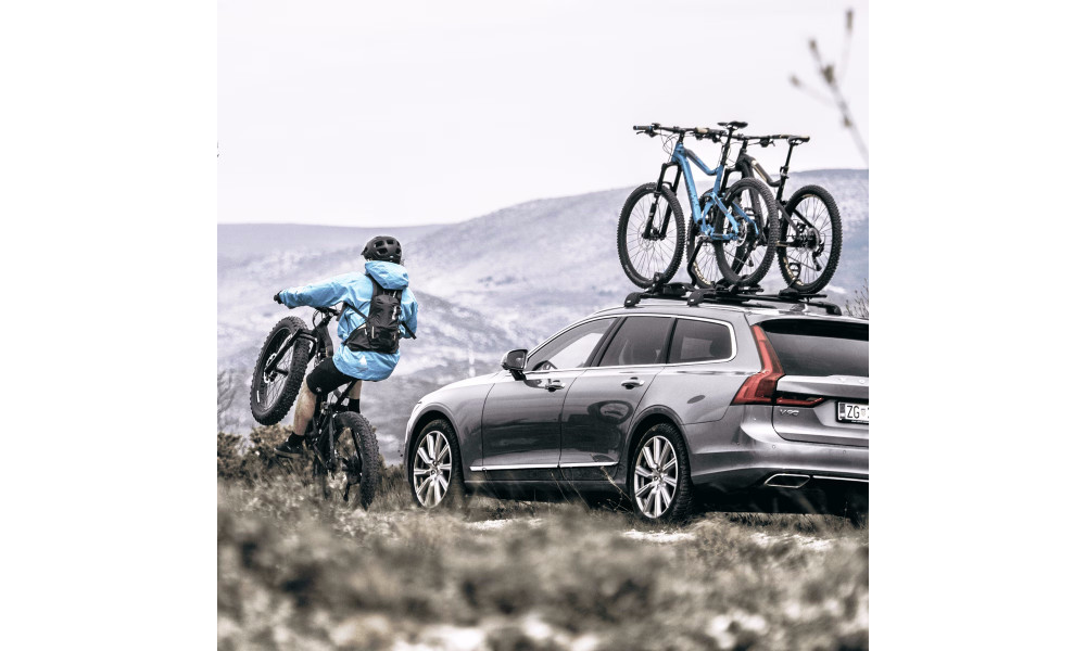 Jalgrattahoidja Thule ProRide 598 silver - 7