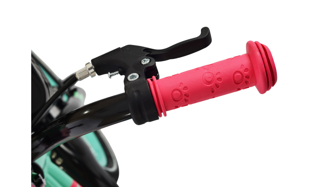 Jalgratas Karbon Jazz 16 mint - 4