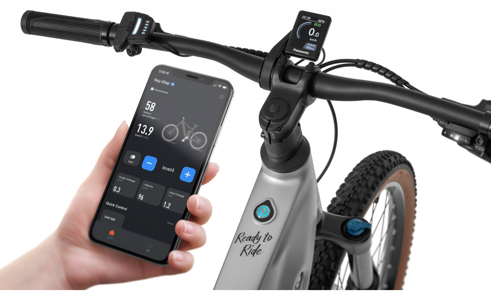 Elektrijalgratas Ecobike Core Arctic Fade 900Wh - 3