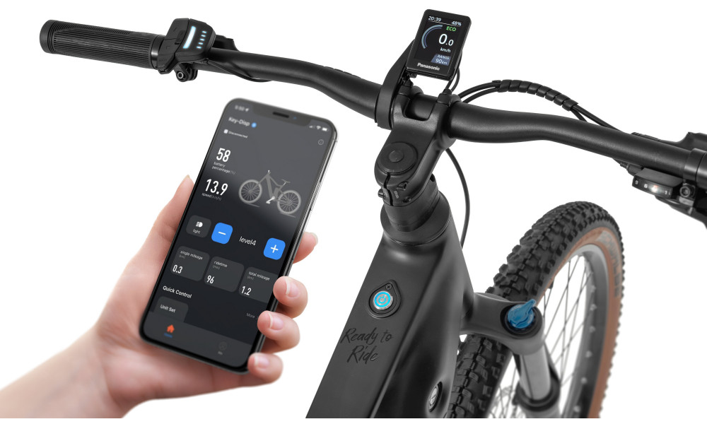 Elektrijalgratas Ecobike Core Moonstone 900Wh - 3