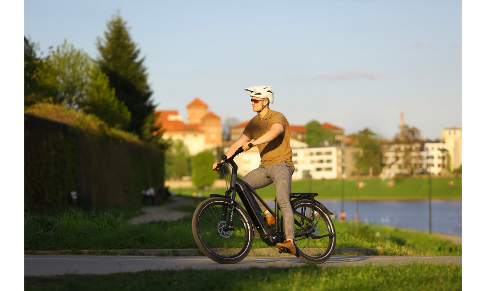 Elektrijalgratas Ecobike Dare 900Wh - 2
