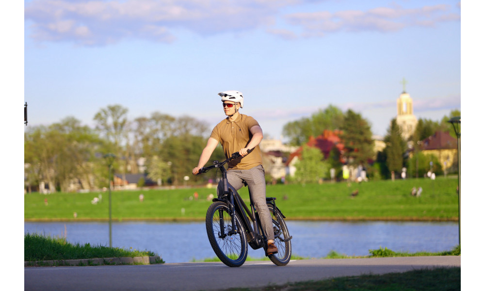 Elektrijalgratas Ecobike Dare 900Wh - 13