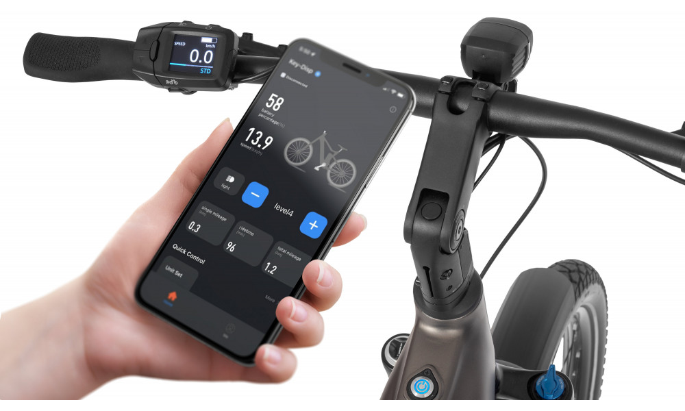 Elektrijalgratas Ecobike Dare 900Wh - 19