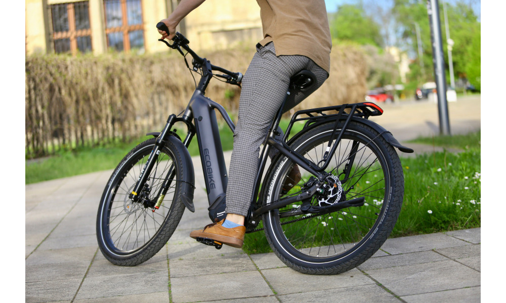 Elektrijalgratas Ecobike Dare 900Wh - 21