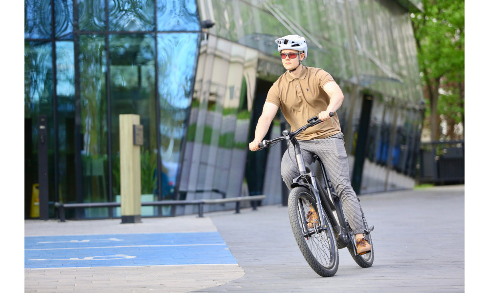 Elektrijalgratas Ecobike Dare 900Wh - 33