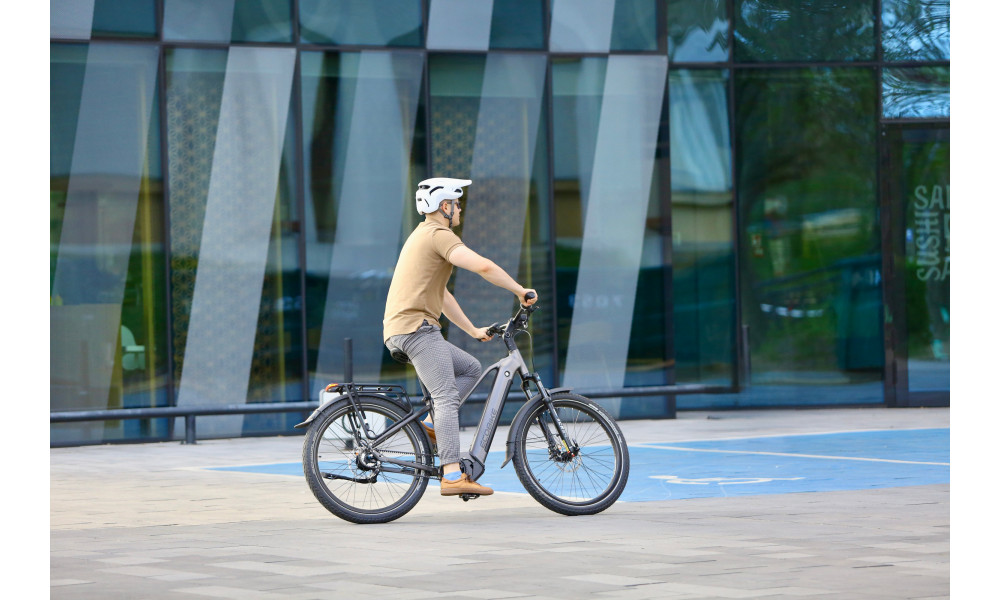 Elektrijalgratas Ecobike Dare 900Wh - 38