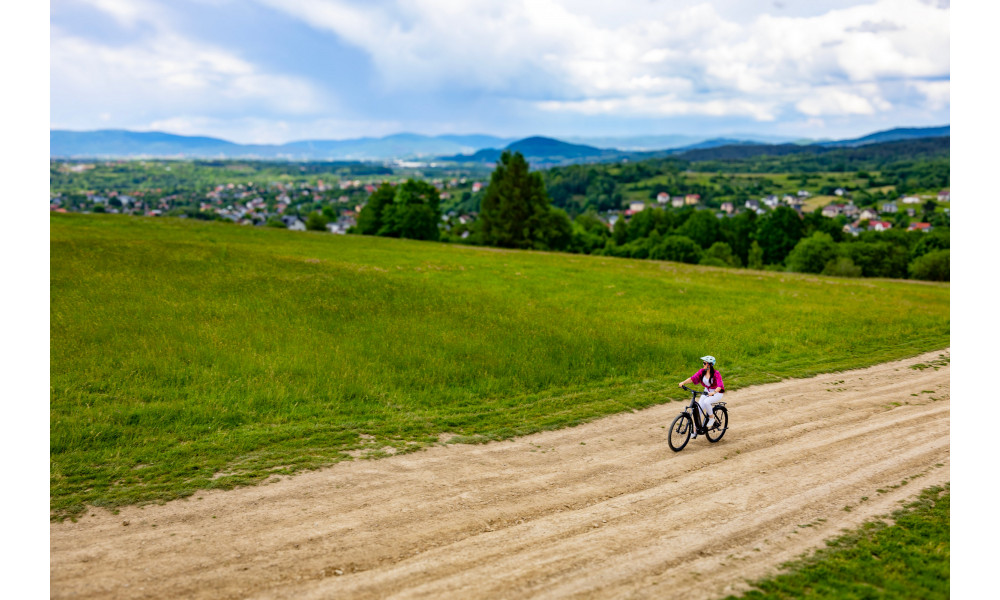 Elektrijalgratas Ecobike Expedition SUV Black 720Wh - 2