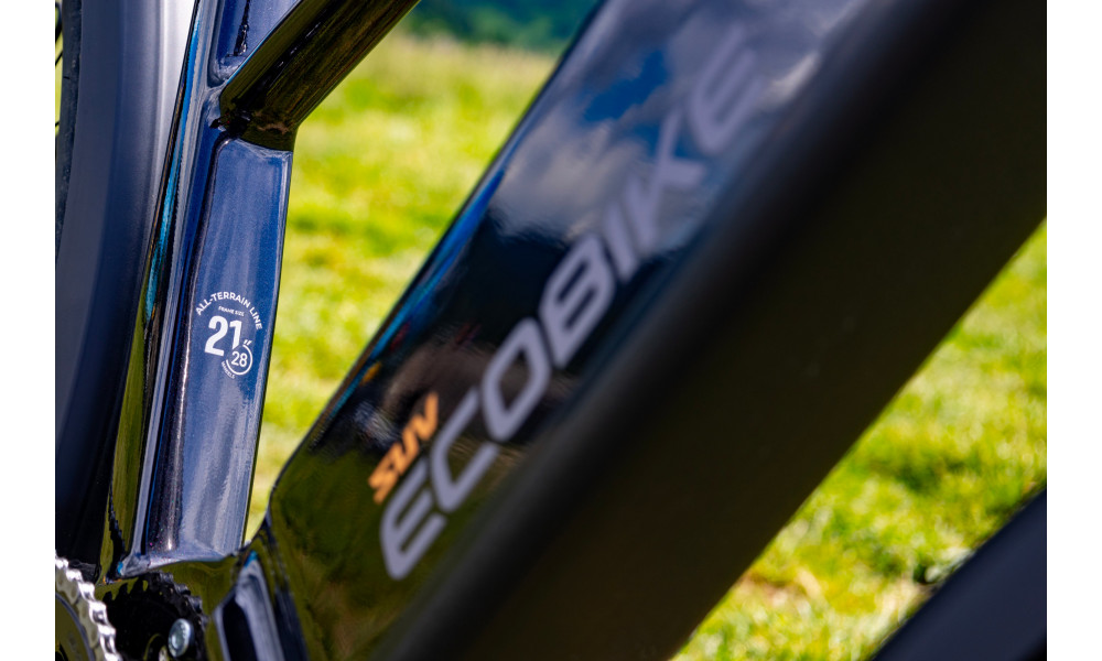 Elektrijalgratas Ecobike Expedition SUV Black 1080Wh - 17