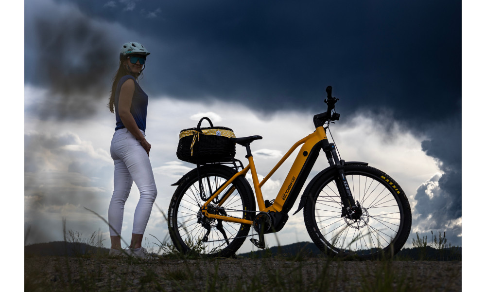 Elektrijalgratas Ecobike Expedition SUV Yellow 720Wh - 4