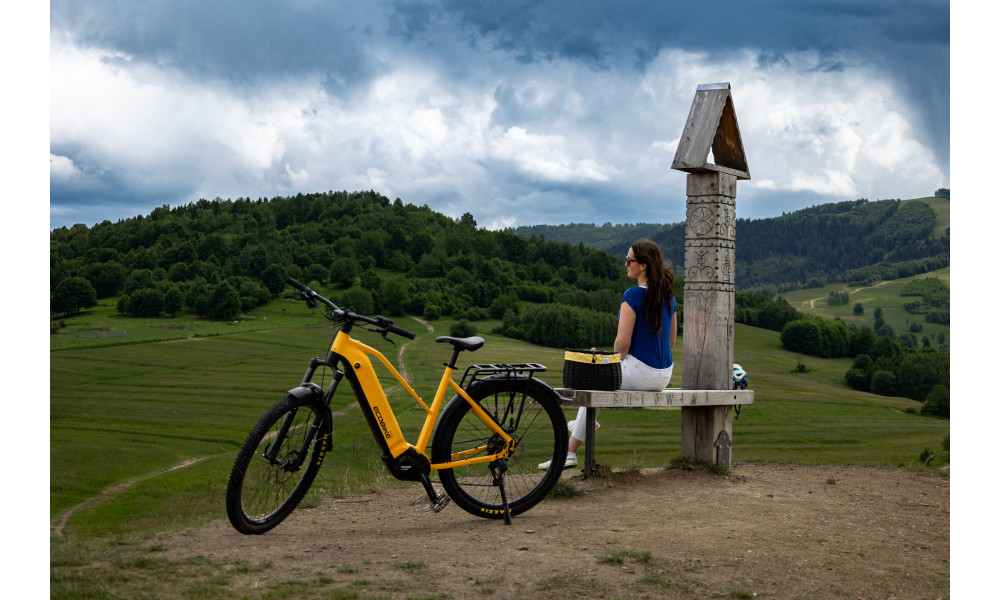 Elektrijalgratas Ecobike Expedition SUV Yellow 720Wh - 5
