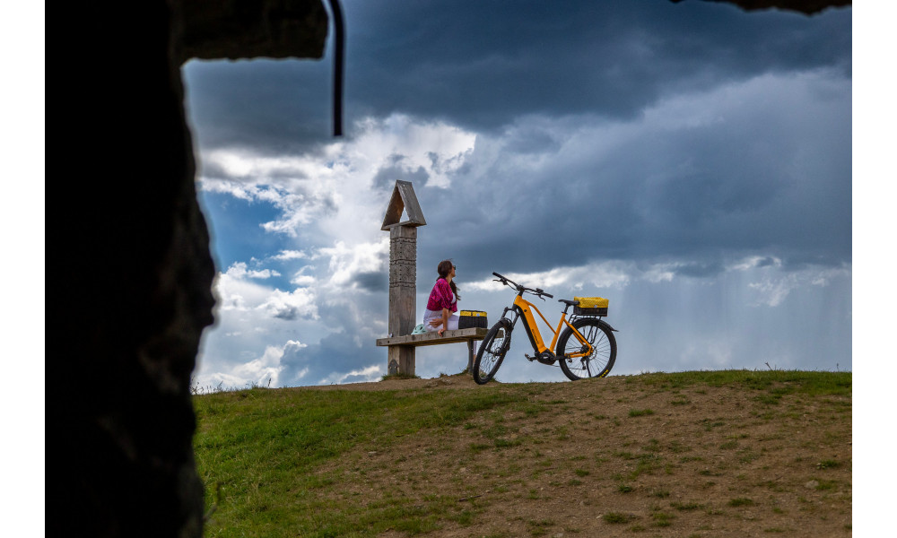 Elektrijalgratas Ecobike Expedition SUV Yellow 720Wh - 8