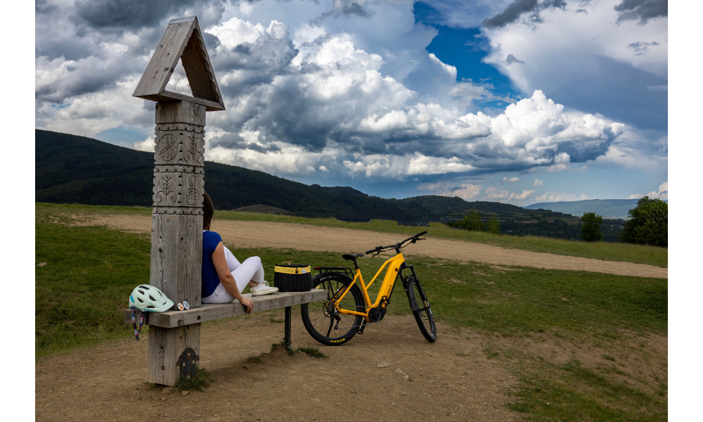 Elektrijalgratas Ecobike Expedition SUV Yellow 1080Wh - 6